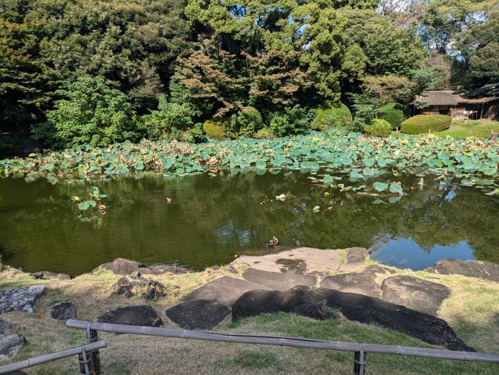 東京国立博物館_庭園