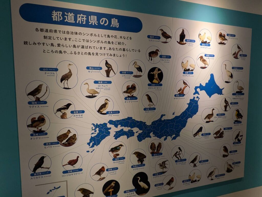 特別展_鳥_都道府県