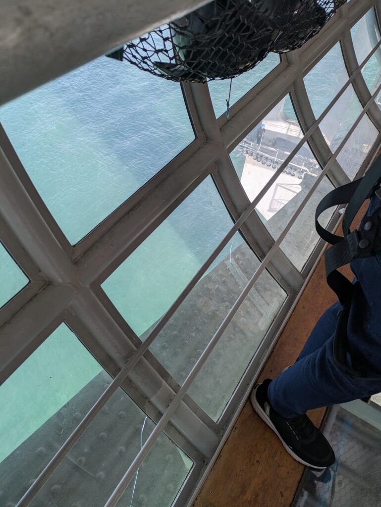 bungy_sea