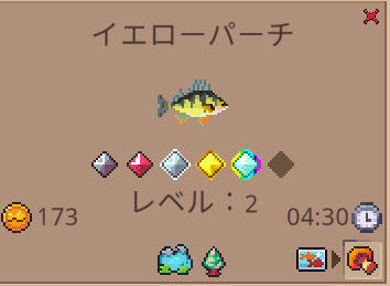 水の暇_魚