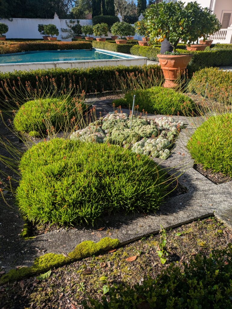 Hamilton Garden_italy
