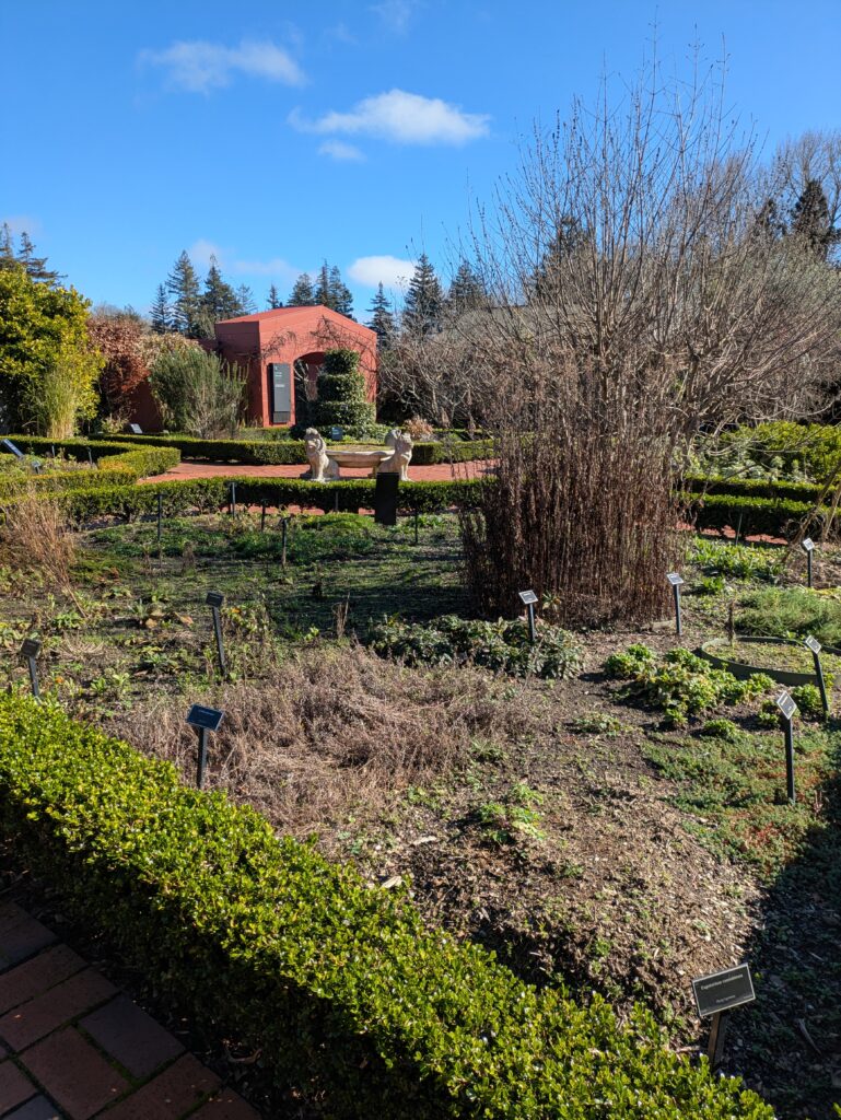 Hamilton Garden_herb