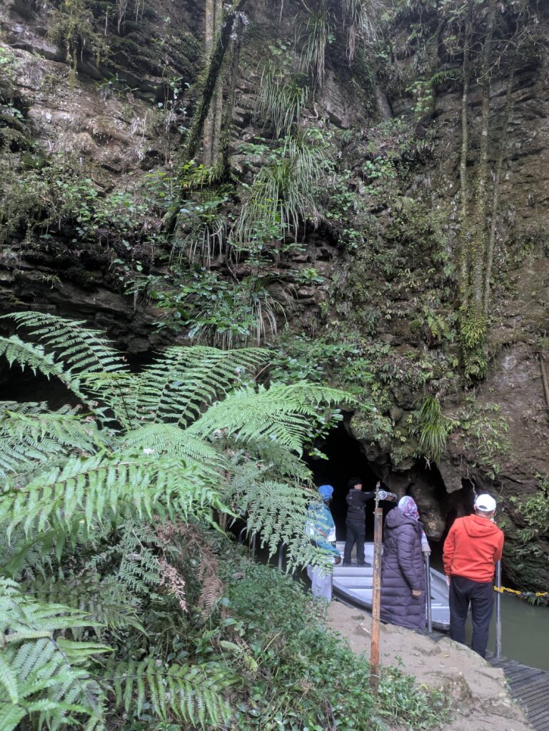 waitomo cave