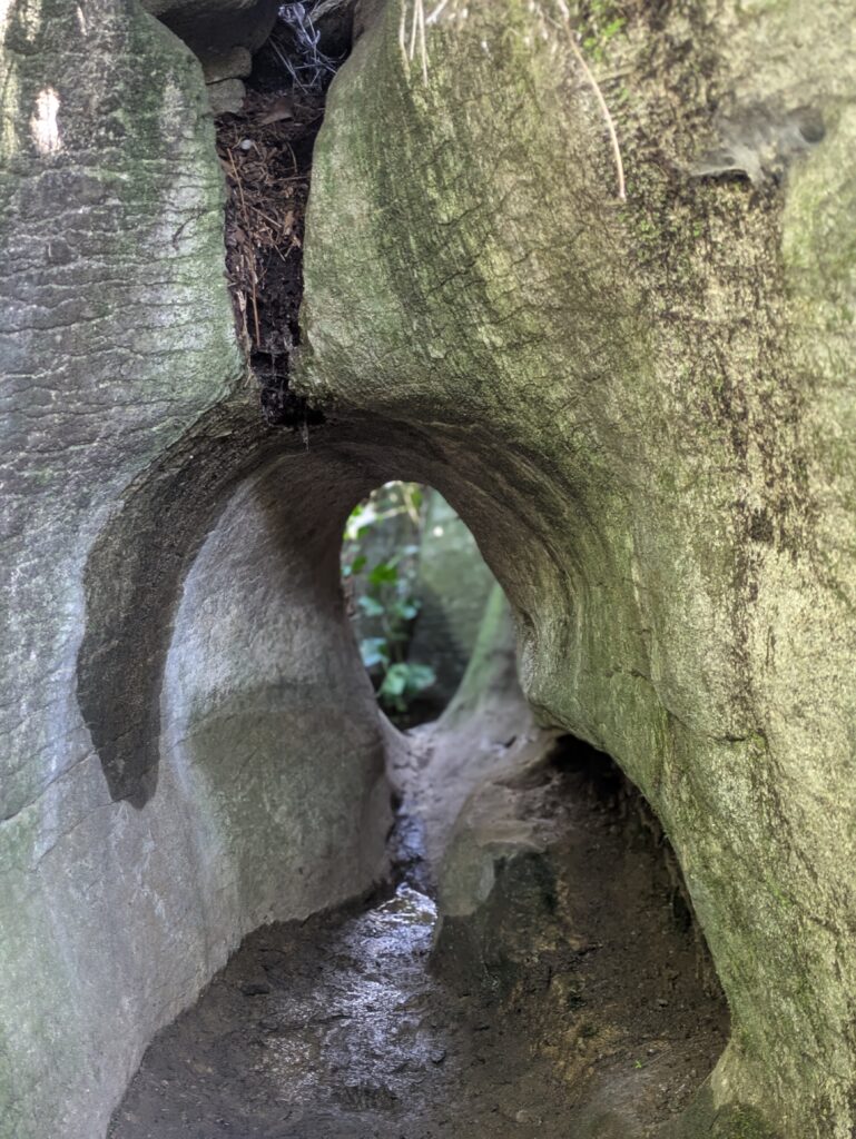 Takaka puzzle