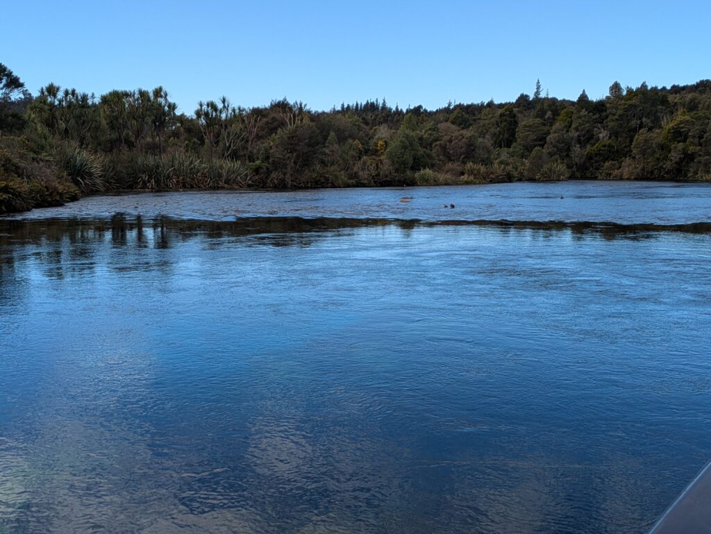 Takaka Springs
