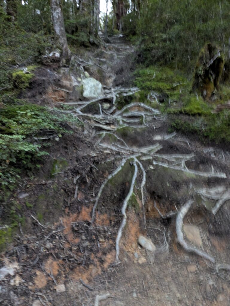 Brewster Hut the way