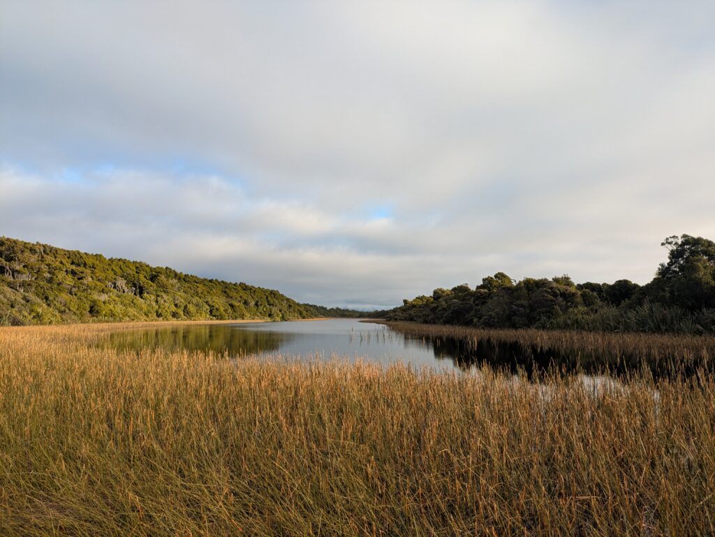 Okarito ship creek