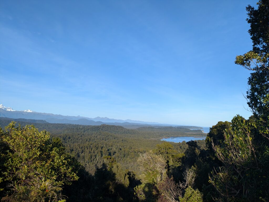 Okarito viewspot